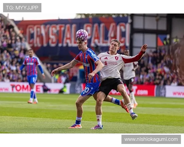 水晶宫队官网提供的比赛录像、精彩集锦及赛后分析视频资源