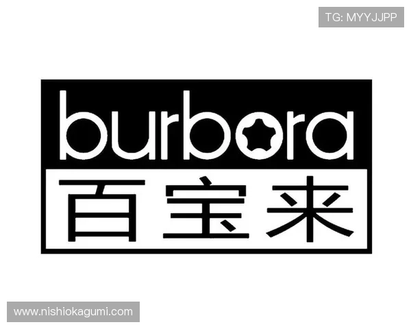 百宝来官网：百宝来品牌历史与发展历程详细介绍