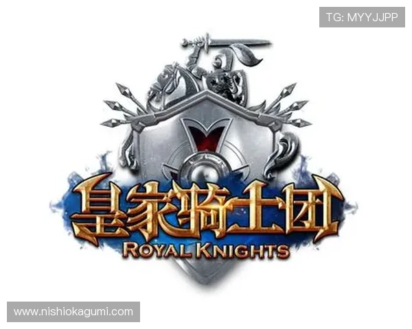 皇家电子游戏平台注册流程详解新手玩家快速入门攻略与常见问题解答